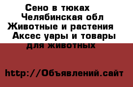 Сено в тюках.  - Челябинская обл. Животные и растения » Аксесcуары и товары для животных   